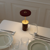 2573 in-situ 3