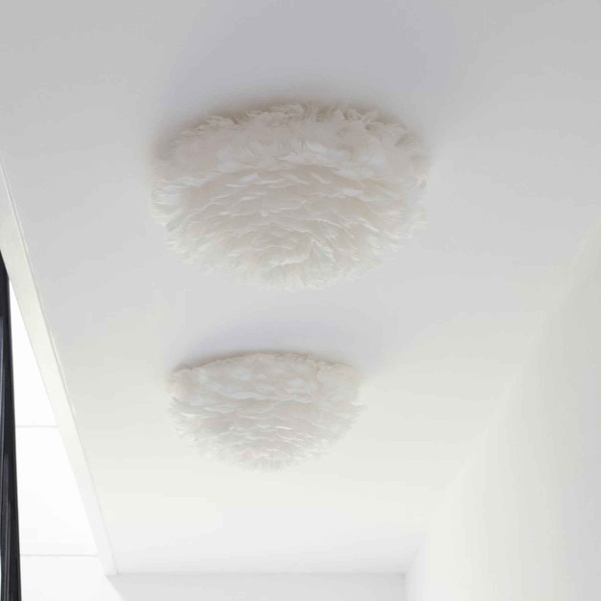 2141 in-situ 7