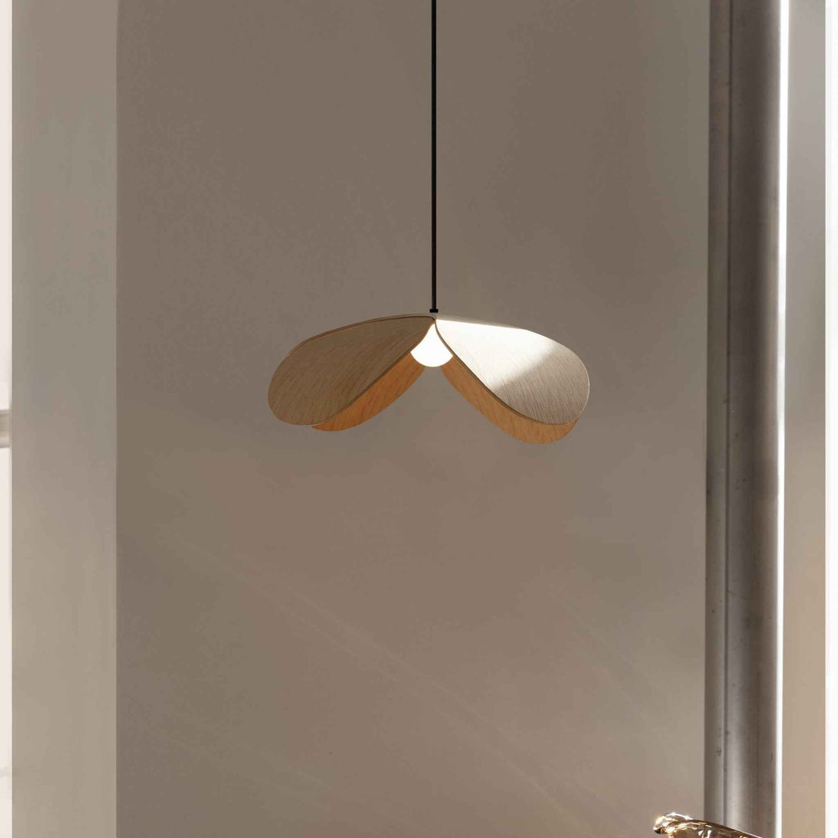 2227 in-situ 5