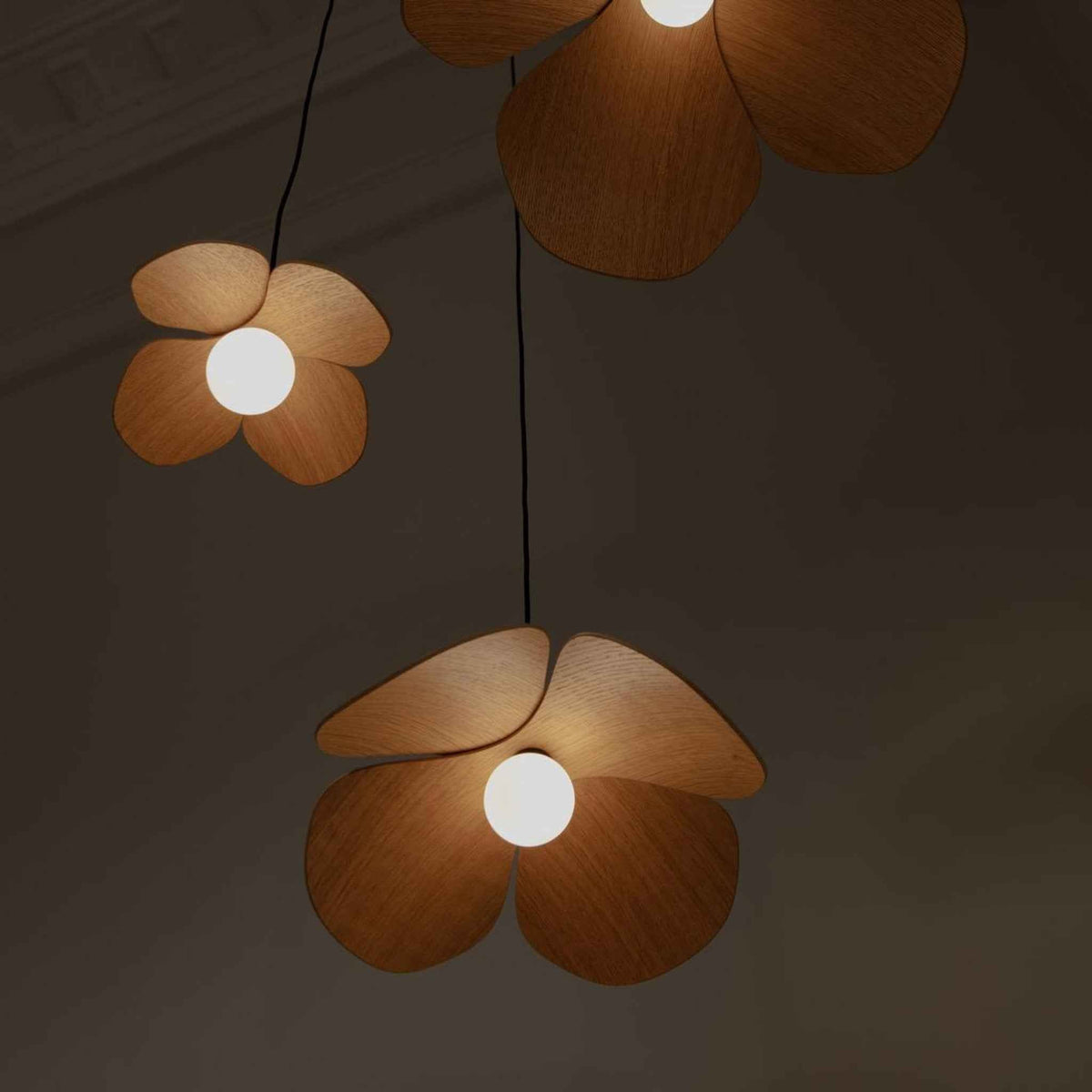 2224 in-situ 4