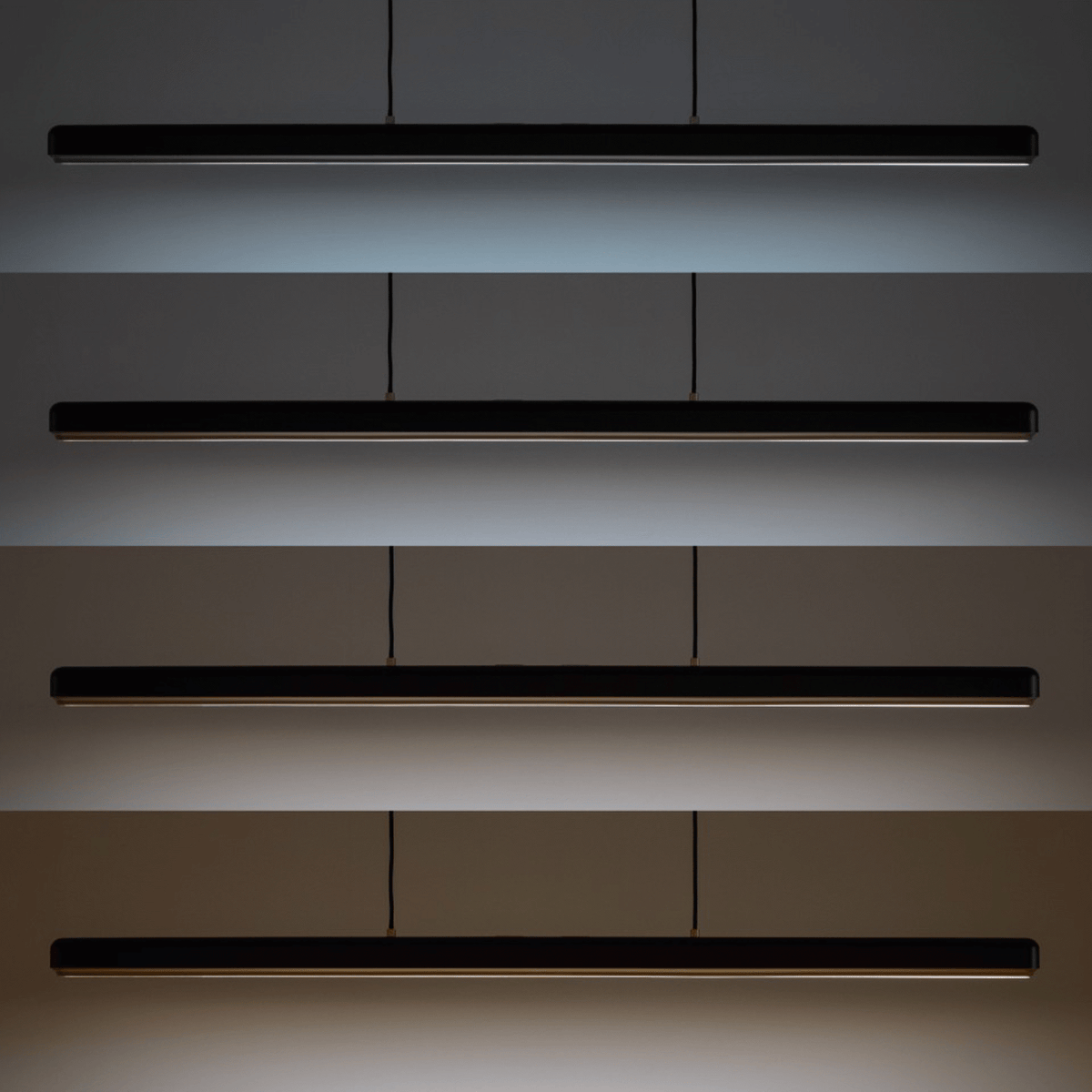 2451 in-situ 2