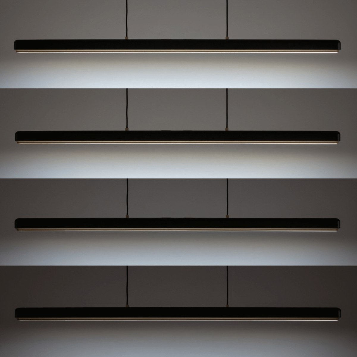 2451 in-situ 3