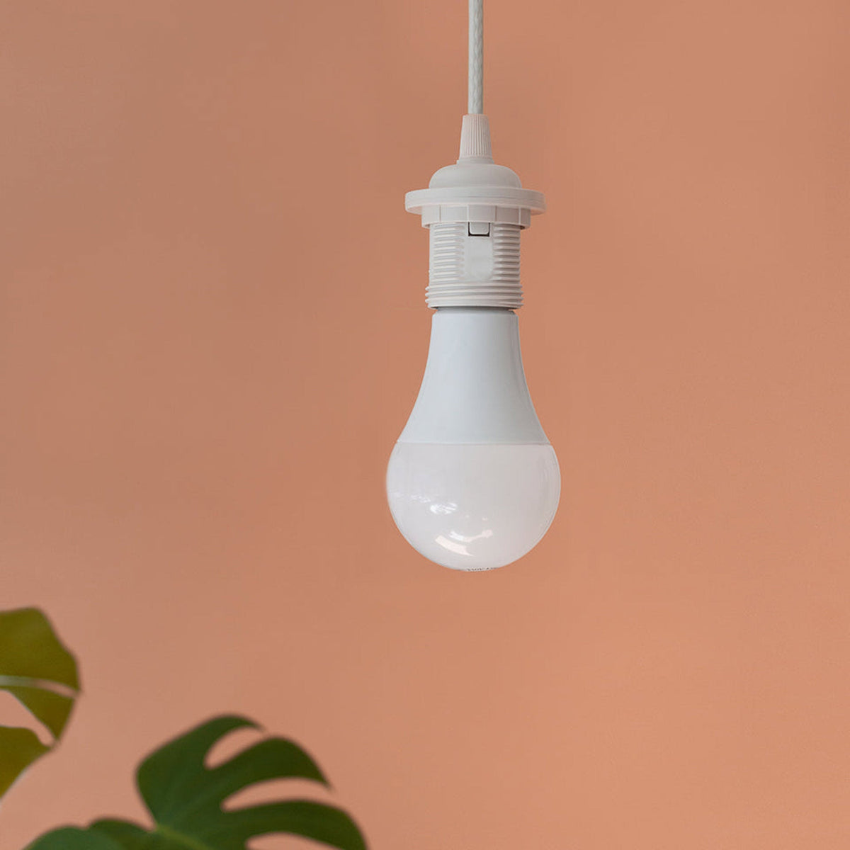 4136 in-situ 3