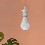 4136 in-situ 3