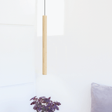 2233 in-situ 6