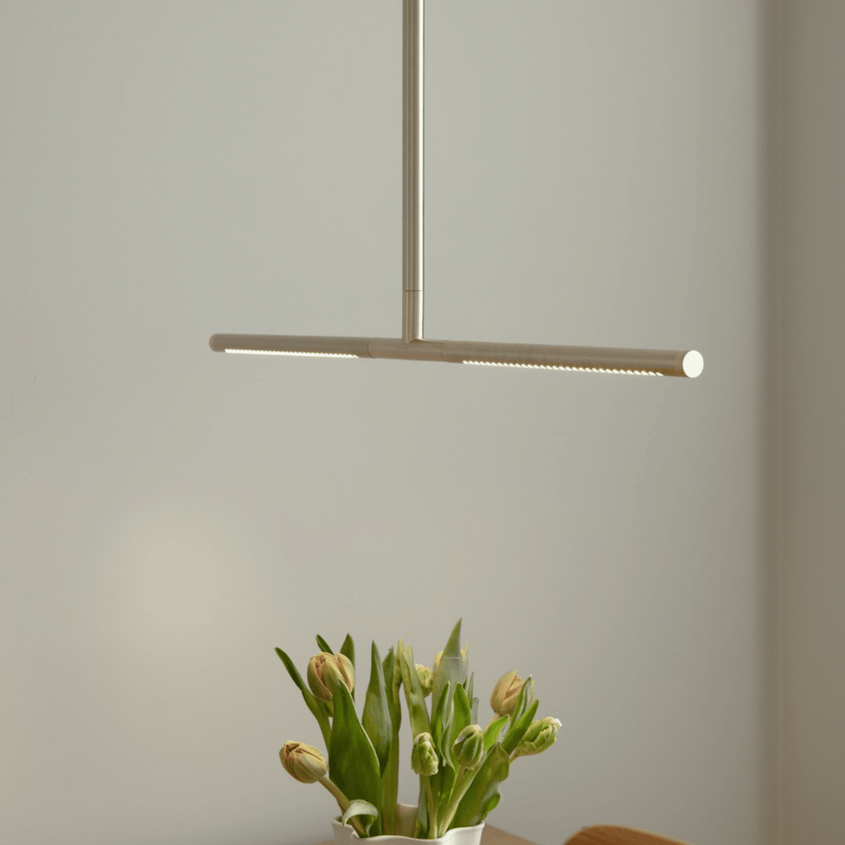 2248 in-situ 3