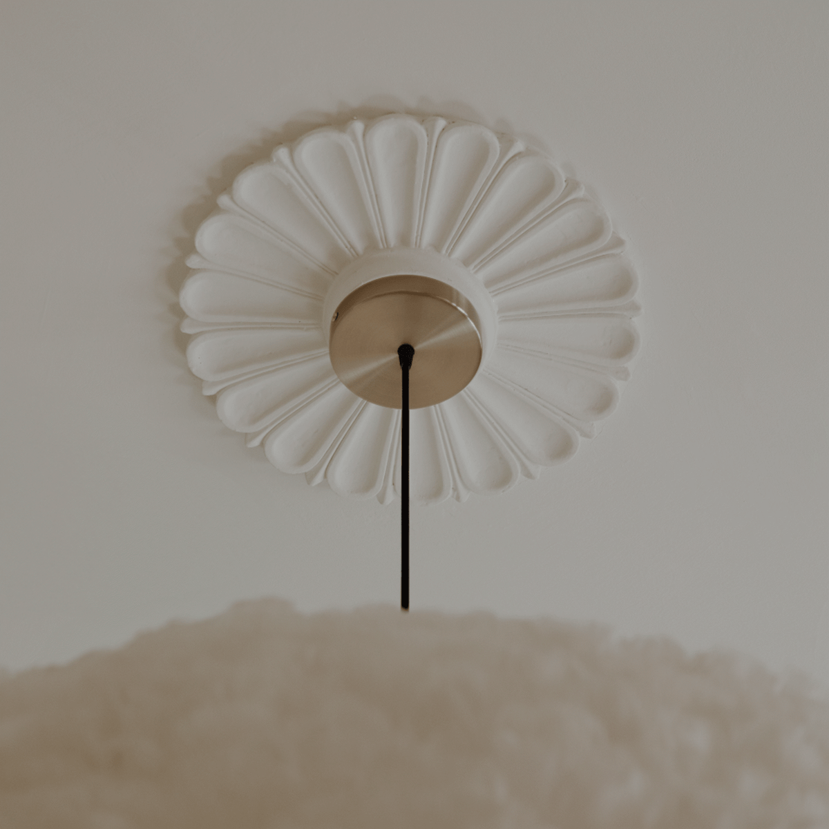 4239 in-situ 3