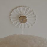 4239 in-situ 3