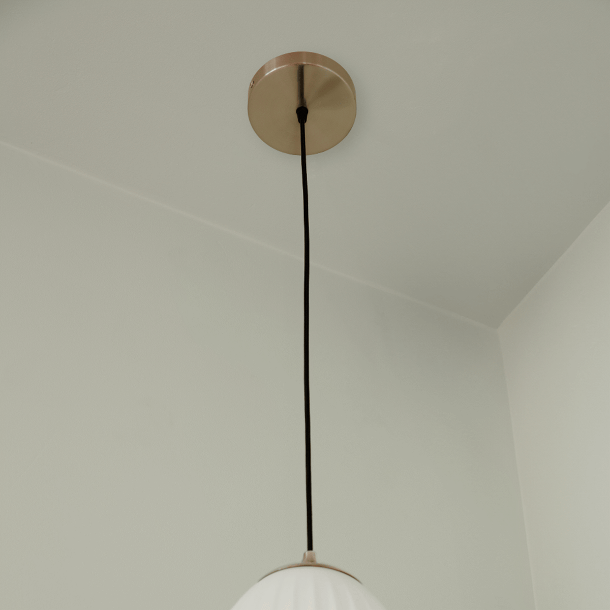 4239 in-situ 4