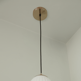 4239 in-situ 4
