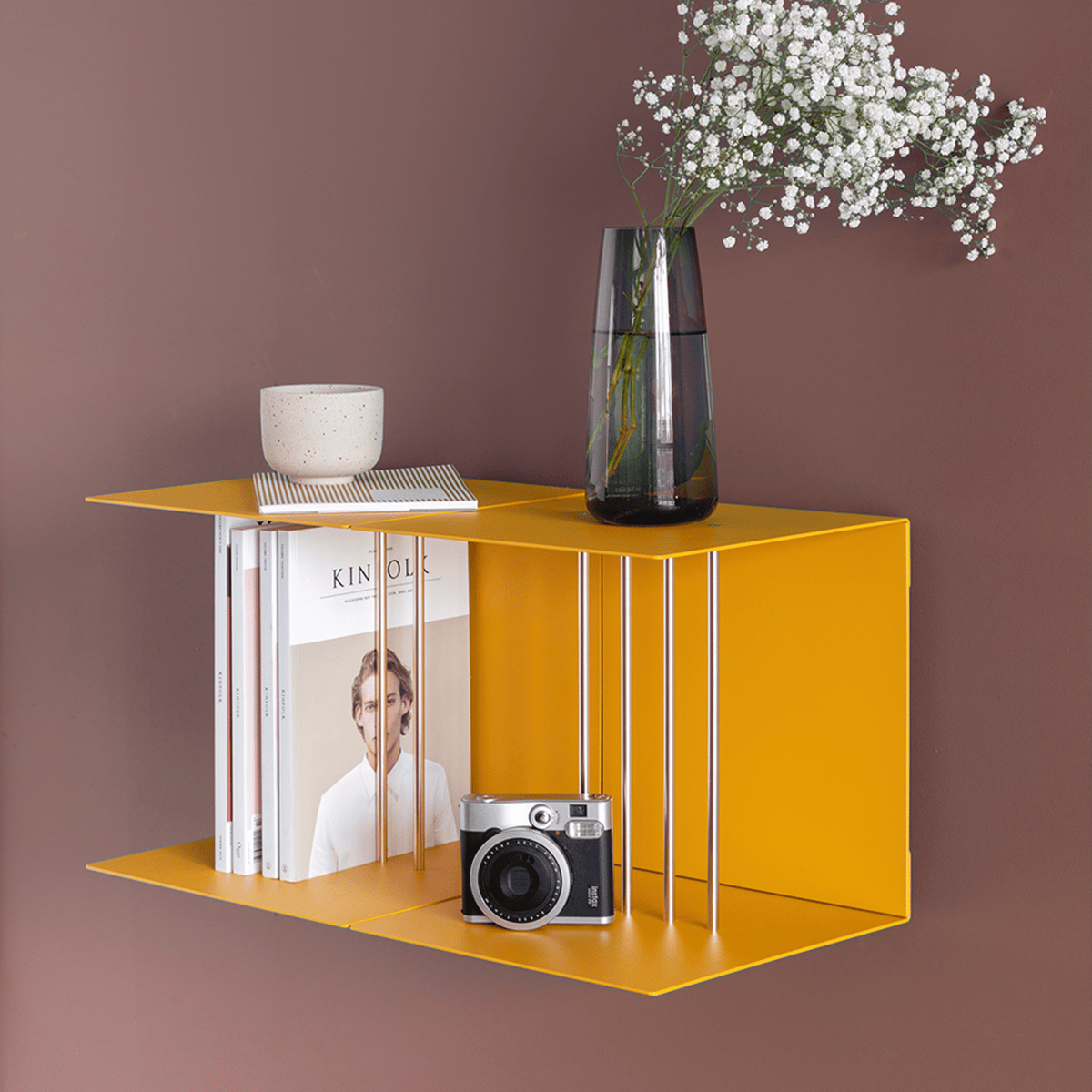 5009 in-situ 2