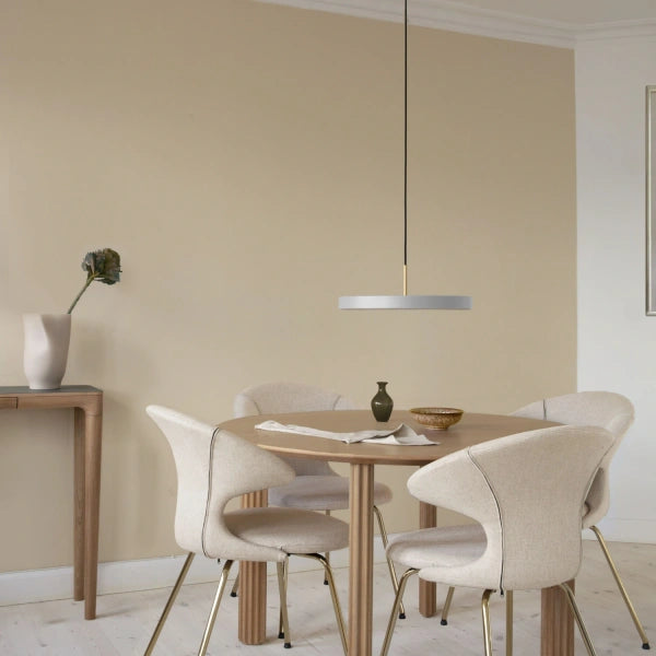 2420 in-situ 3