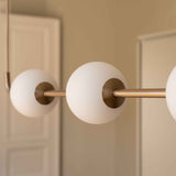 2664 in-situ 3
