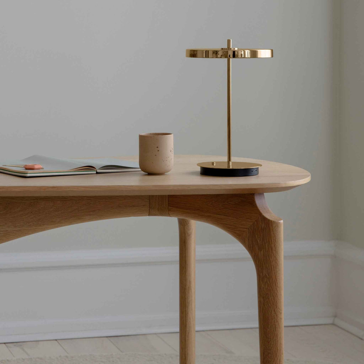 2498 in-situ 6