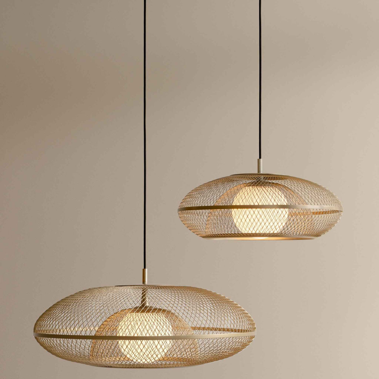 2196 in-situ 3