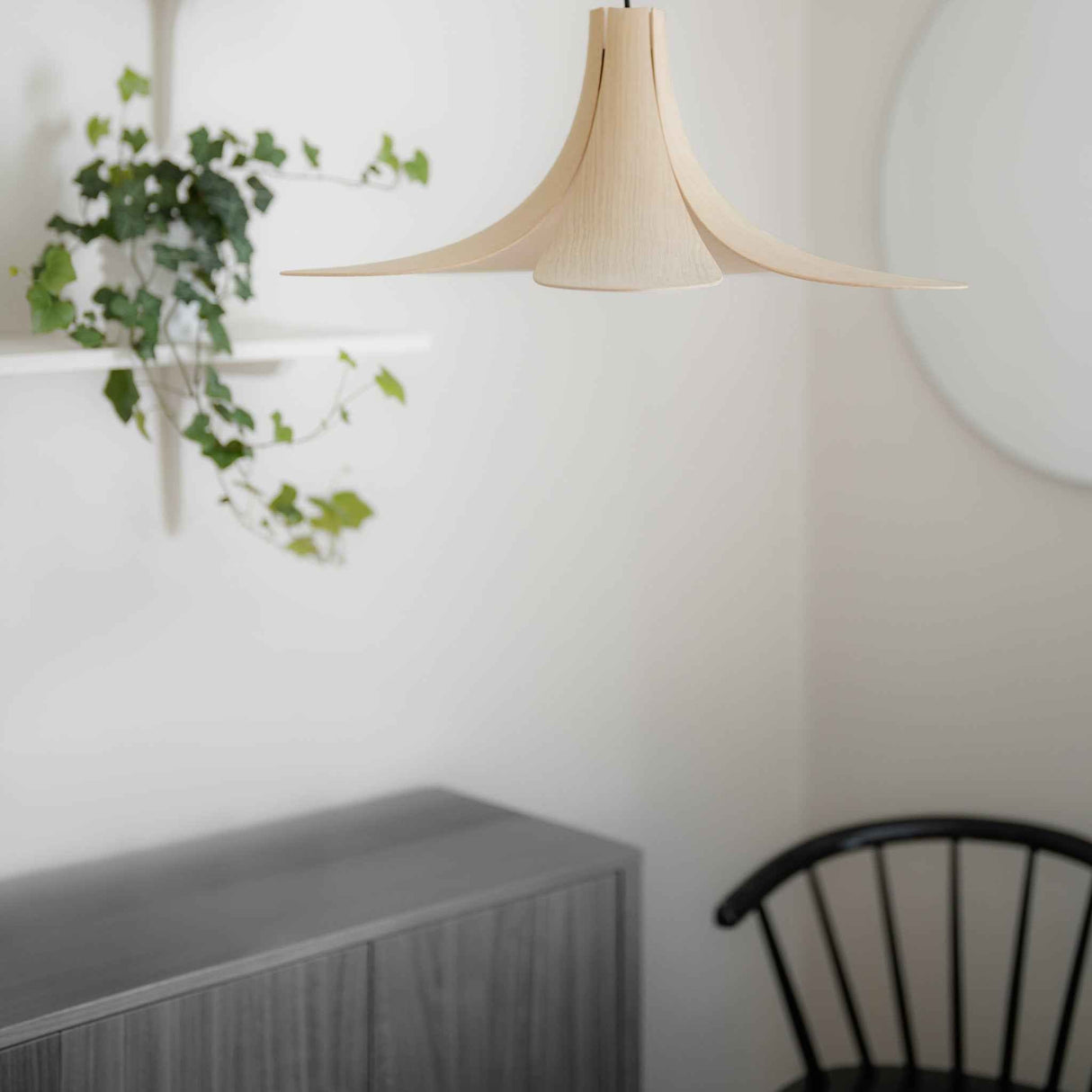 2216 in-situ 6