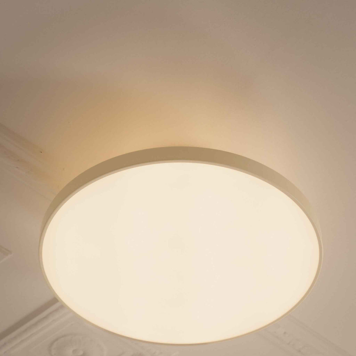 2690 in-situ 3