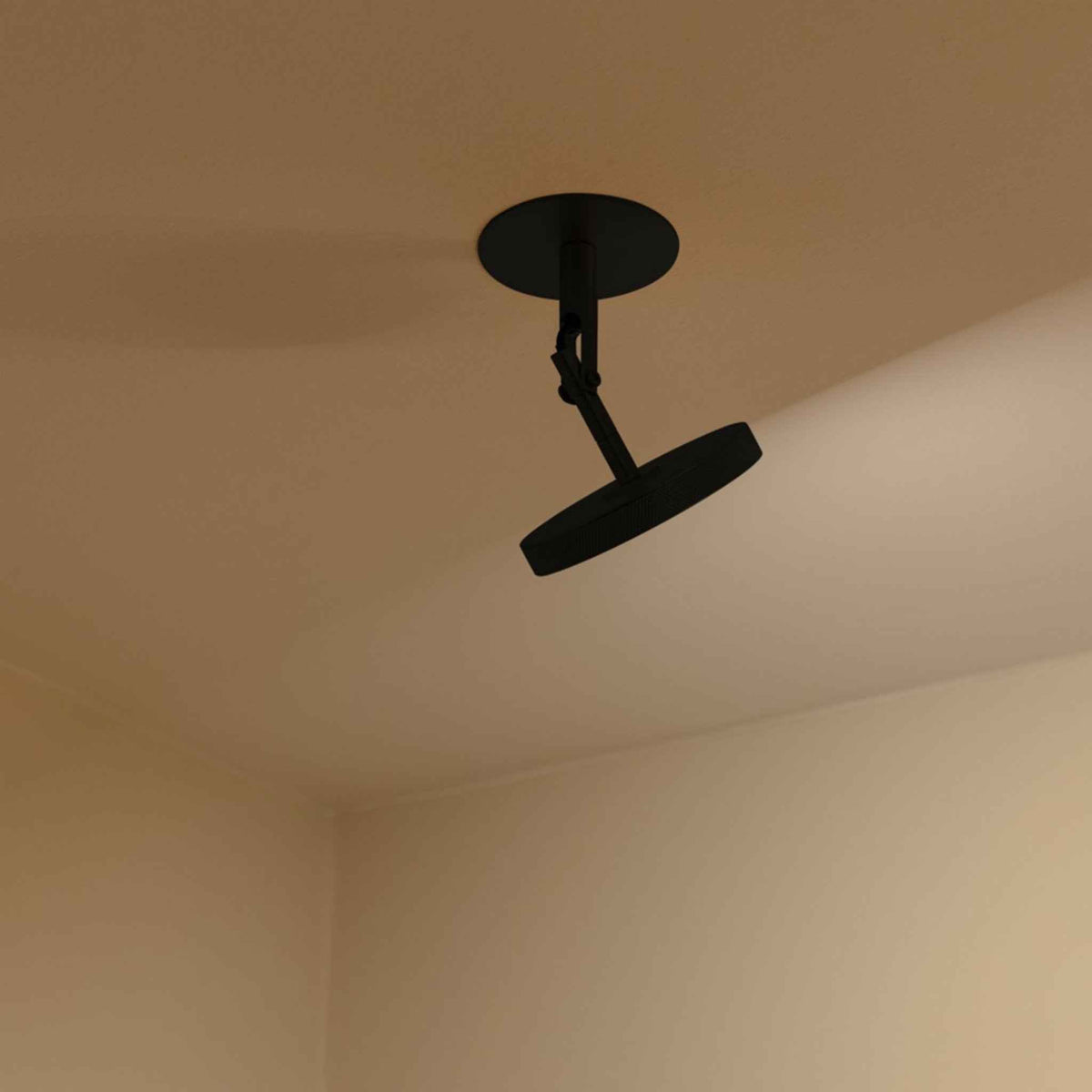 2495 in-situ 2
