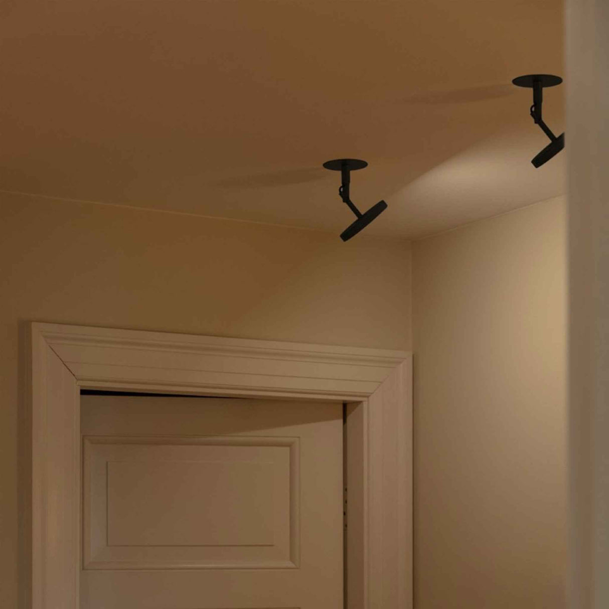 2495 in-situ 3