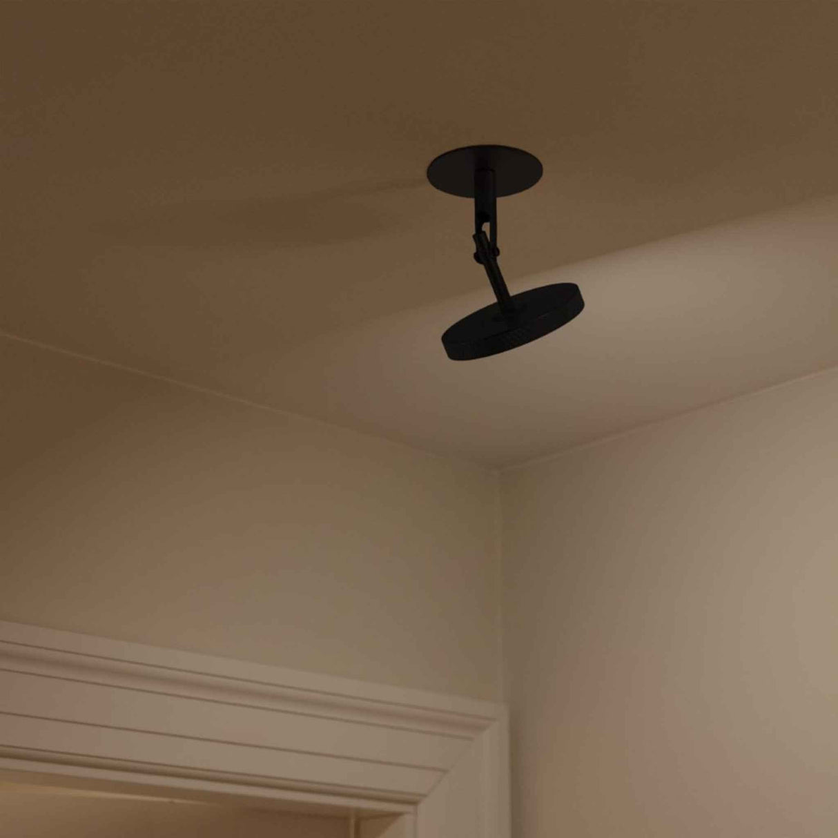 2495 in-situ 5
