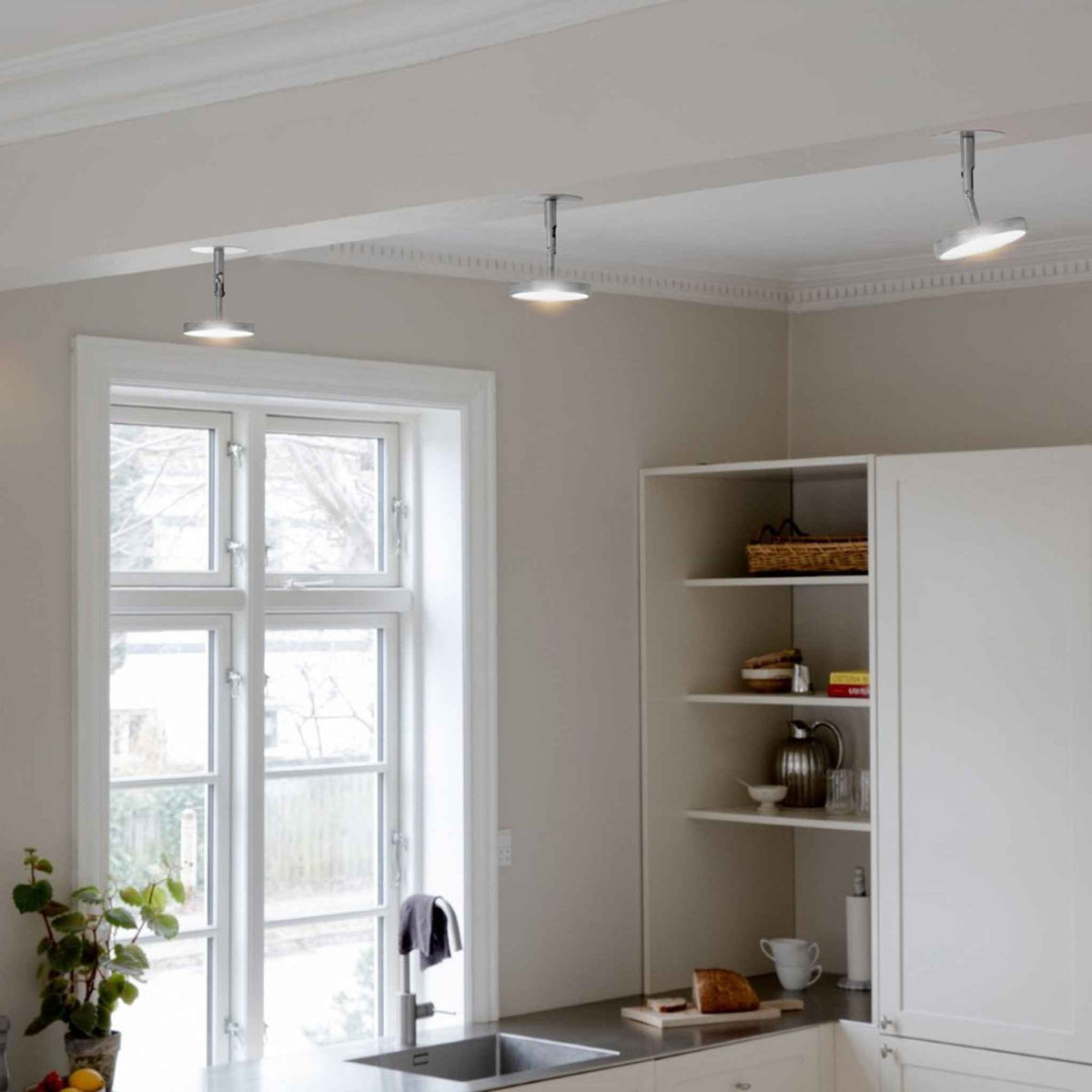 2497 in-situ 2