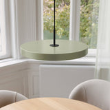 2567C4173 in-situ 4