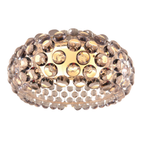 Designer Ceiling Lights