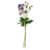 Artificial Flowers & Plants