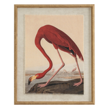 Wall Art & Frames
