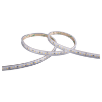 Outdoor LED Strip Lights