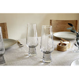 Visla Champagne Glasses - Clear - Set of 4