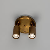Adare Brass 2 Light Ceiling Spotlight with round brass plate, central ball finial, and two reeded cylindrical heads on adjustable arms, shown against a plain light grey background.