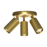 Adare Brass 3 Light Ceiling Spotlight