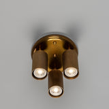 Adare Brass 3 Light Ceiling Spotlight