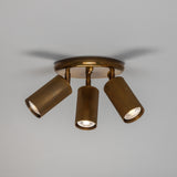 Adare Brass 3 Light Ceiling Spotlight
