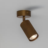 Adare Brass Ceiling Spotlight