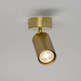 Adare Brass Ceiling Spotlight