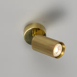 Adare Brass Ceiling Spotlight