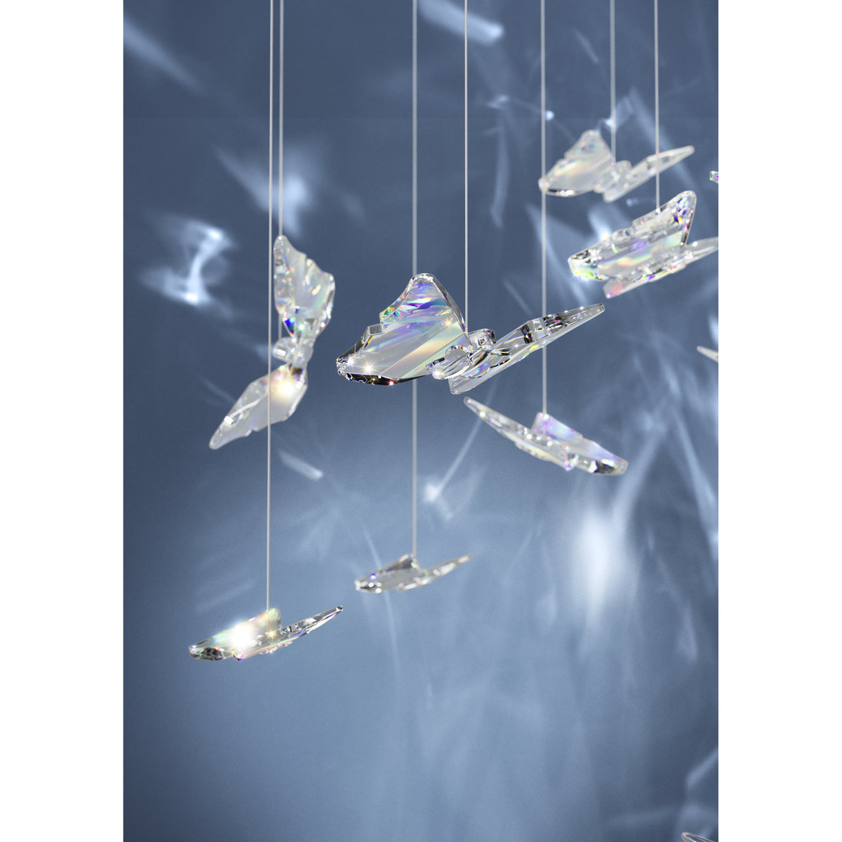 Adrados 6 Light Pendant with clear glass butterfly shapes suspended on fine wires from a black steel canopy, shown against a soft grey background.