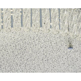 Aiden Large Round LED Glass Flush Ceiling Light 4200K 21W - Polished Chrome