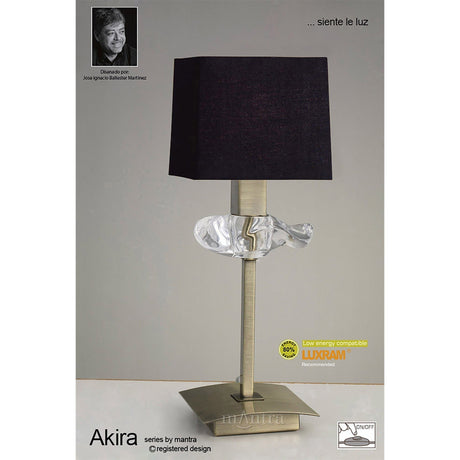 Akira 1 Light Table Lamp - Antique Brass With Black Shade