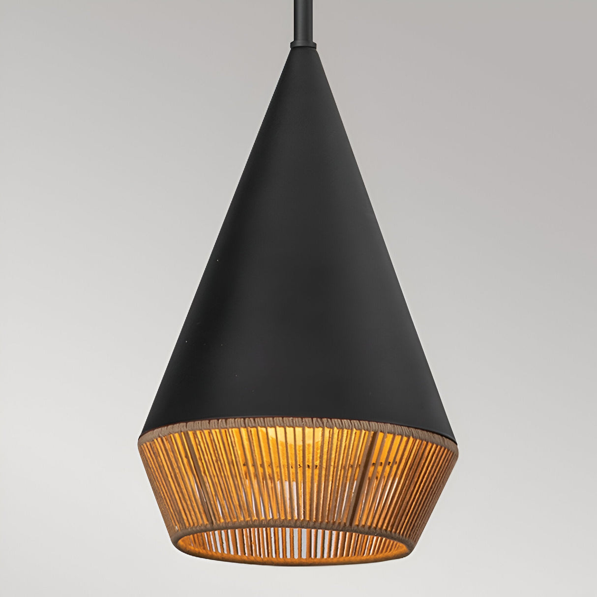Daphne 1 Light Small Pendant - Black/Brass