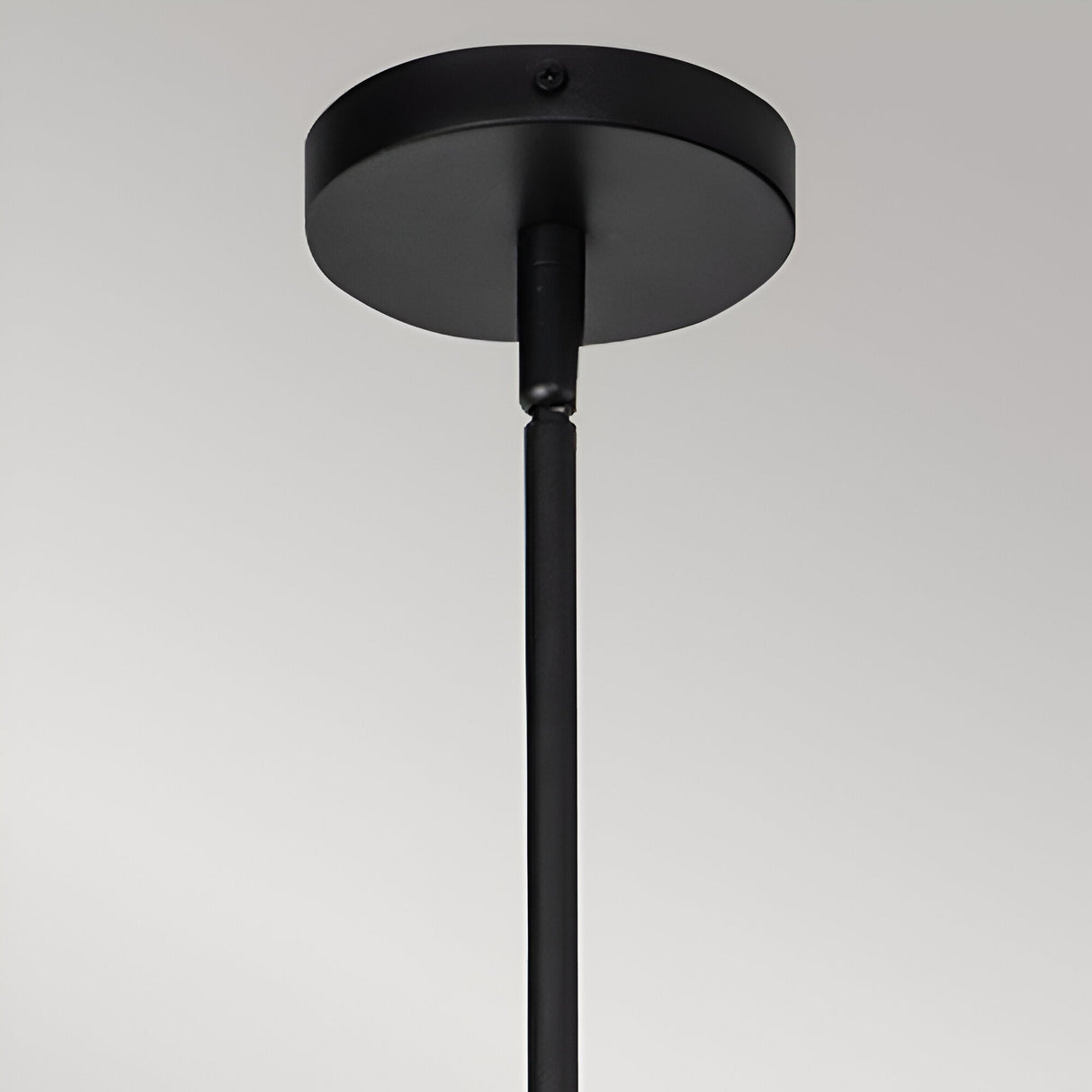 Daphne 1 Light Small Pendant - Black/Brass