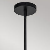 Daphne 1 Light Small Pendant - Black/Brass