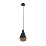 Daphne 1 Light Small Pendant - Black/Brass
