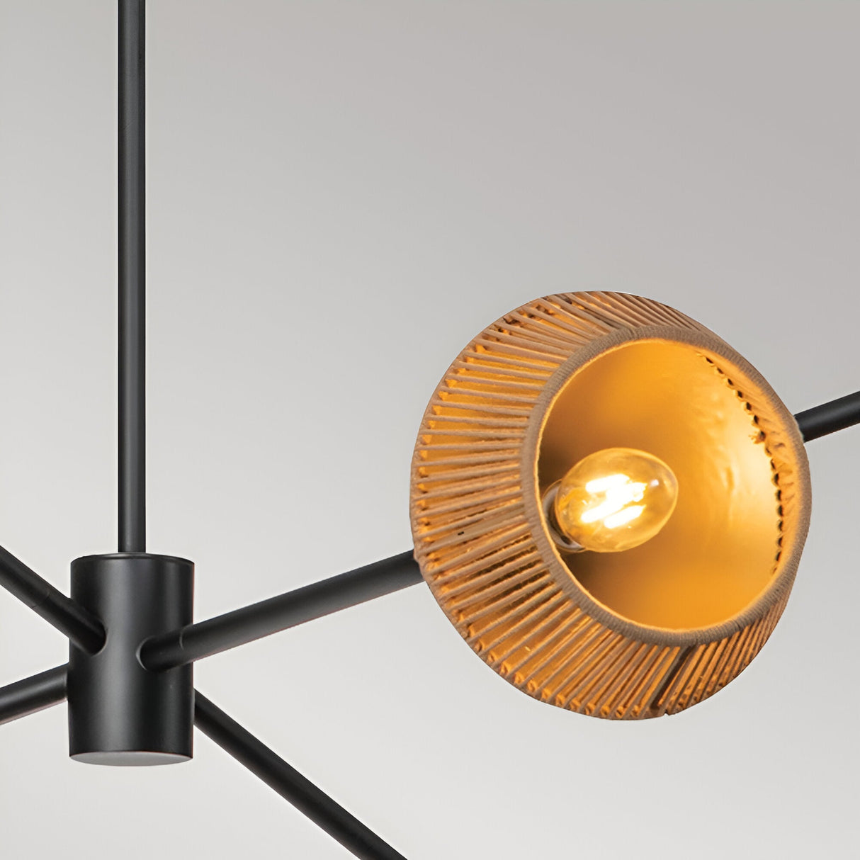 Daphne 6 Light Chandelier - Black/Brass
