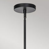 Daphne 6 Light Chandelier - Black/Brass