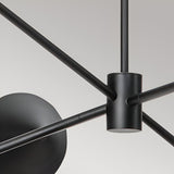 Daphne 6 Light Chandelier - Black/Brass
