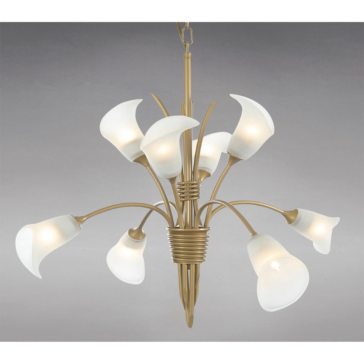 Ancona 61cm 8 Light Frosted Glass Chandelier - French Gold