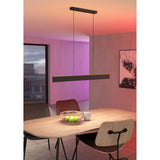 Andreas Smart Colour Changing Pendant Light - Black